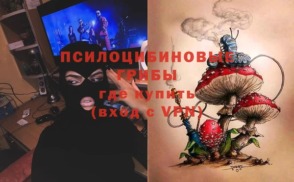 прущий лед Вяземский